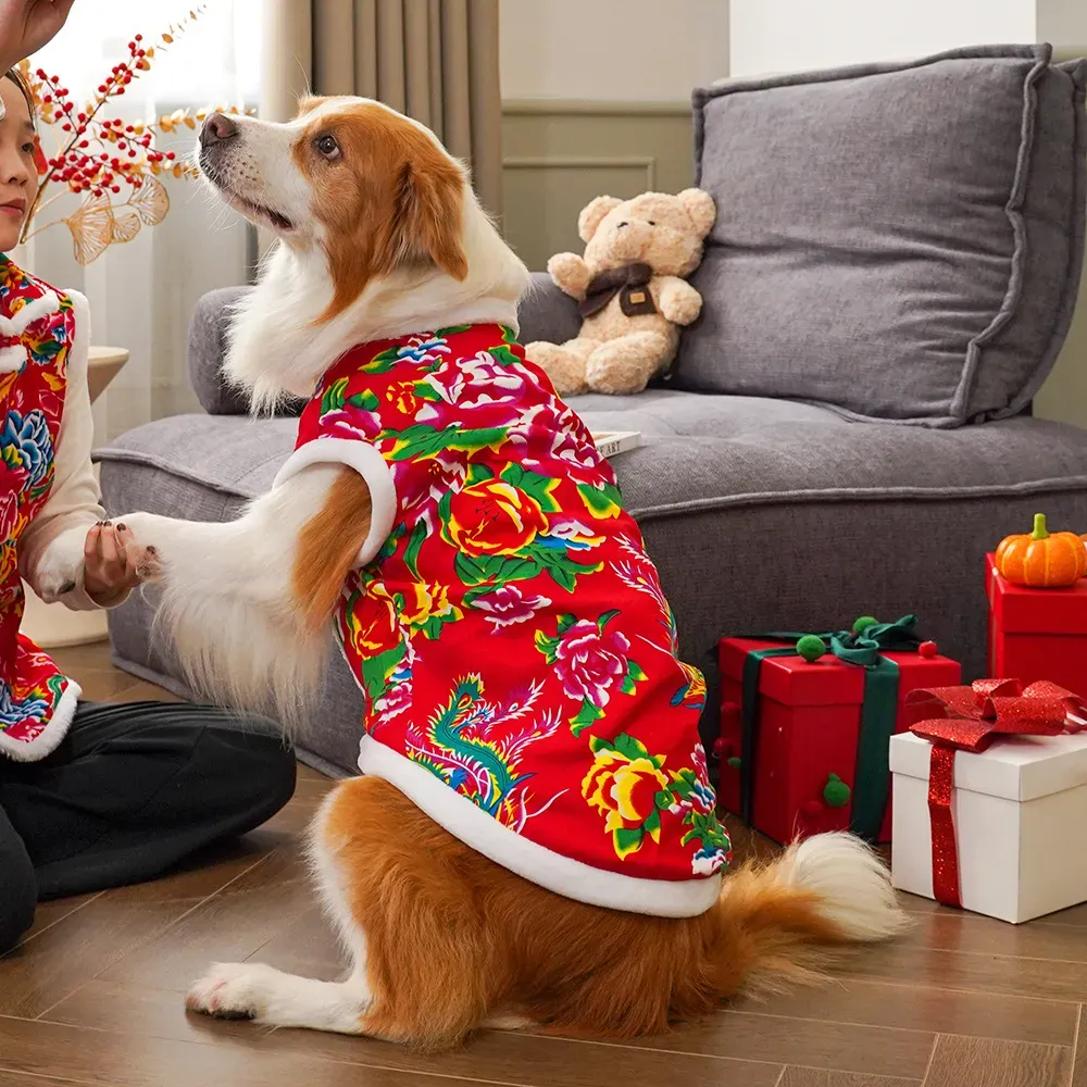 Odzież zimowa dla psów 2025, u – Winter Clothing Name recenzja i cena